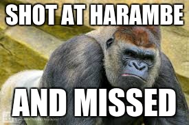 Harambe be like | SHOT AT HARAMBE; AND MISSED | image tagged in harambe,memes | made w/ Imgflip meme maker