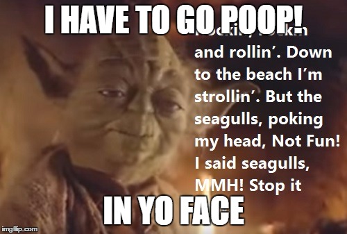 I HAVE TO GO POOP! IN YO FACE | image tagged in yoda | made w/ Imgflip meme maker