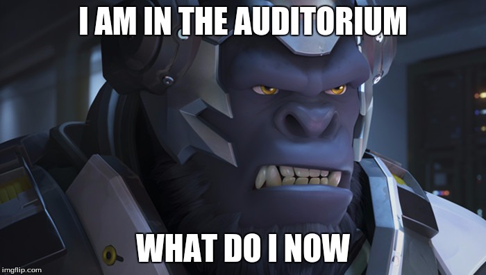 Winston Overwatch | I AM IN THE AUDITORIUM; WHAT DO I NOW | image tagged in winston overwatch | made w/ Imgflip meme maker