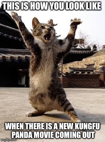 kung fu kitten | THIS IS HOW YOU LOOK LIKE; WHEN THERE IS A NEW KUNGFU PANDA MOVIE COMING OUT | image tagged in kung fu kitten | made w/ Imgflip meme maker