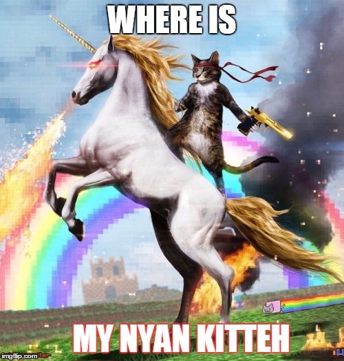 my kitteh iz lost | WHERE IS; MY NYAN KITTEH | image tagged in memes,welcome to the internets | made w/ Imgflip meme maker