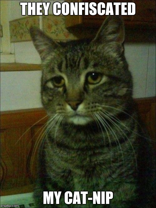 Depressed Cat | THEY CONFISCATED; MY CAT-NIP | image tagged in memes,depressed cat | made w/ Imgflip meme maker
