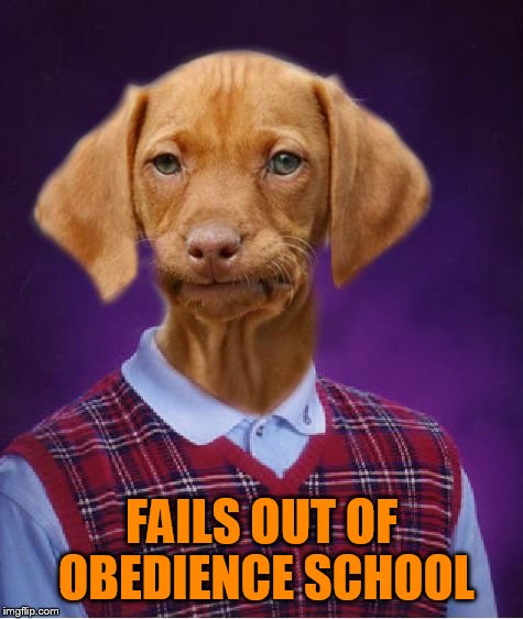 Bad Luck Raydog | FAILS OUT OF OBEDIENCE SCHOOL | image tagged in bad luck raydog | made w/ Imgflip meme maker