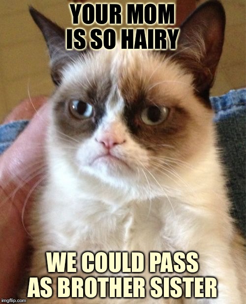 Grumpy Cat Meme | YOUR MOM IS SO HAIRY; WE COULD PASS AS BROTHER SISTER | image tagged in memes,grumpy cat | made w/ Imgflip meme maker