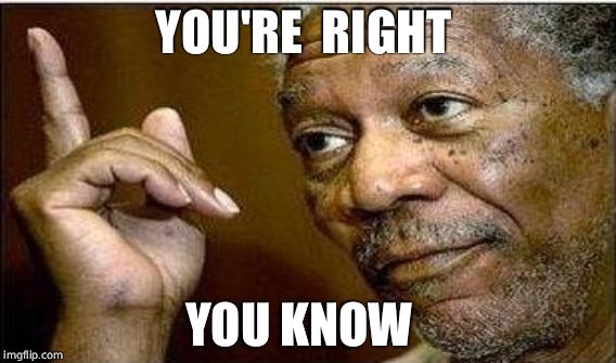 You're right | YOU'RE  RIGHT; YOU KNOW | image tagged in morgan freeman | made w/ Imgflip meme maker