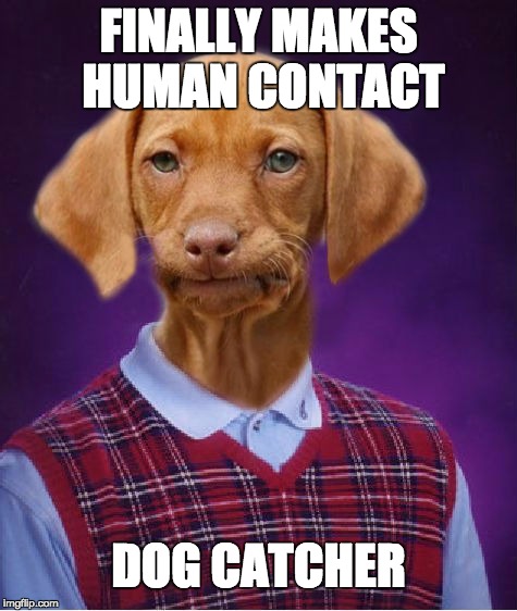 Bad Luck Raydog | FINALLY MAKES HUMAN CONTACT; DOG CATCHER | image tagged in bad luck raydog | made w/ Imgflip meme maker