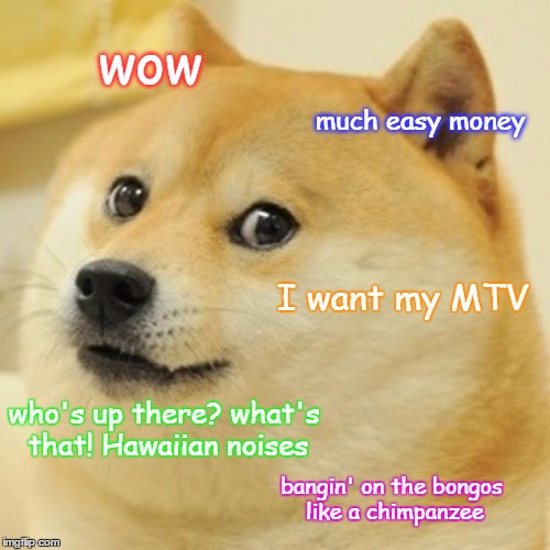 Doge Meme | wow much easy money I want my MTV who's up there? what's that! Hawaiian noises bangin' on the bongos like a chimpanzee | image tagged in memes,doge | made w/ Imgflip meme maker