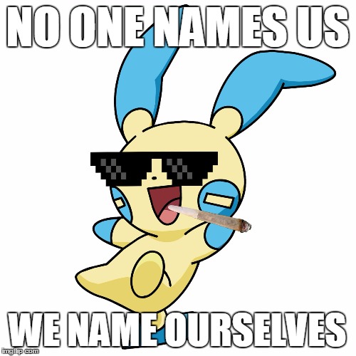 Deal With It Minun | NO ONE NAMES US WE NAME OURSELVES | image tagged in deal with it minun | made w/ Imgflip meme maker