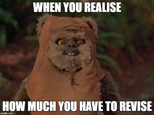 Surprise! | WHEN YOU REALISE; HOW MUCH YOU HAVE TO REVISE | image tagged in demeted ewok,star wars,revision | made w/ Imgflip meme maker