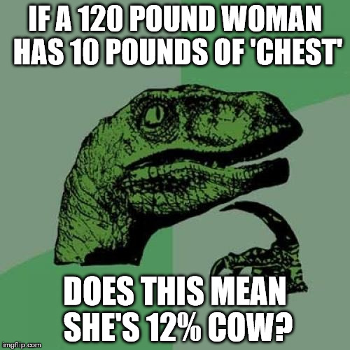Philosoraptor Meme |  IF A 120 POUND WOMAN HAS 10 POUNDS OF 'CHEST'; DOES THIS MEAN SHE'S 12% COW? | image tagged in memes,philosoraptor | made w/ Imgflip meme maker