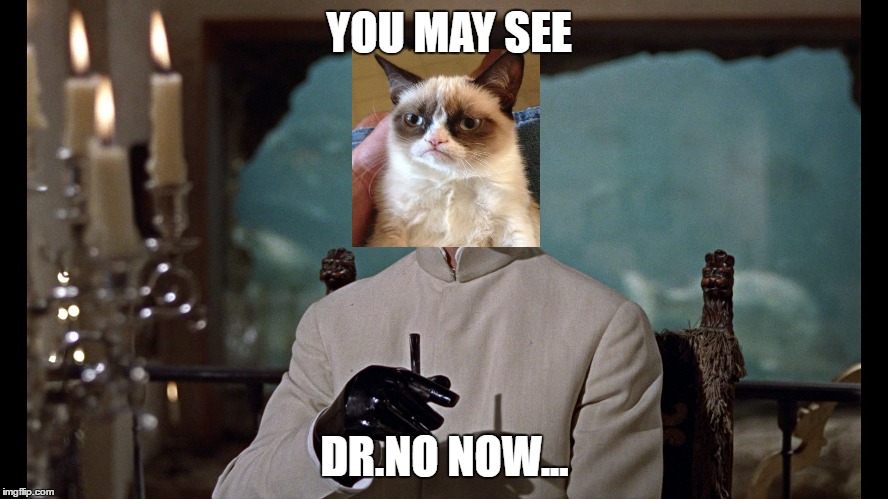 Dr. No  | YOU MAY SEE; DR.NO NOW... | image tagged in drno,meme | made w/ Imgflip meme maker