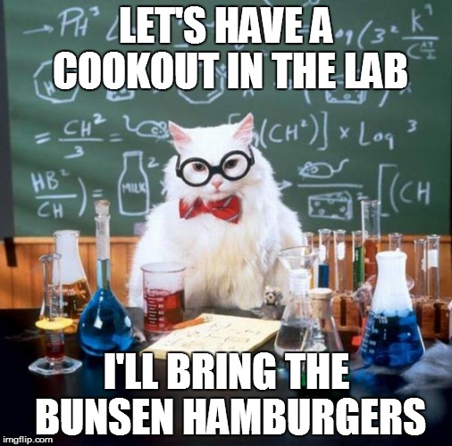 Chemistry Cat | LET'S HAVE A COOKOUT IN THE LAB; I'LL BRING THE BUNSEN HAMBURGERS | image tagged in memes,chemistry cat | made w/ Imgflip meme maker