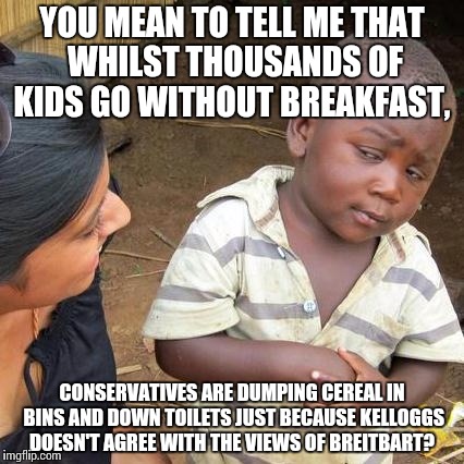 Third World Skeptical Kid | YOU MEAN TO TELL ME THAT WHILST THOUSANDS OF KIDS GO WITHOUT BREAKFAST, CONSERVATIVES ARE DUMPING CEREAL IN BINS AND DOWN TOILETS JUST BECAUSE KELLOGGS DOESN'T AGREE WITH THE VIEWS OF BREITBART? | image tagged in memes,third world skeptical kid | made w/ Imgflip meme maker