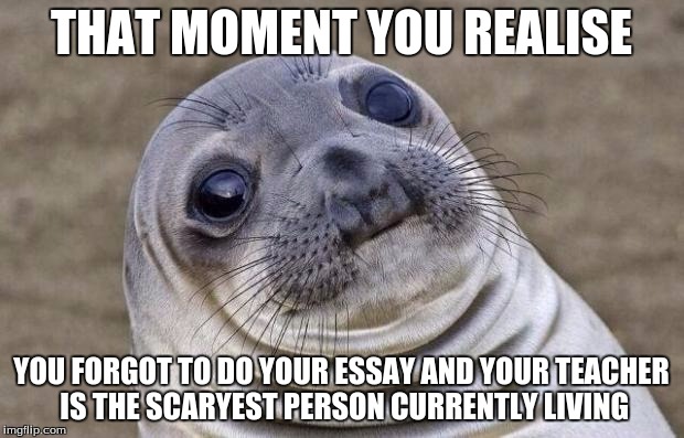 Awkward Moment Sealion | THAT MOMENT YOU REALISE; YOU FORGOT TO DO YOUR ESSAY AND YOUR TEACHER IS THE SCARYEST PERSON CURRENTLY LIVING | image tagged in memes,awkward moment sealion | made w/ Imgflip meme maker