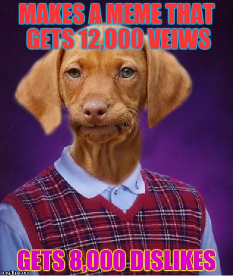 Bad Luck Raydog | MAKES A MEME THAT GETS 12,000 VEIWS; GETS 8,000 DISLIKES | image tagged in bad luck raydog | made w/ Imgflip meme maker