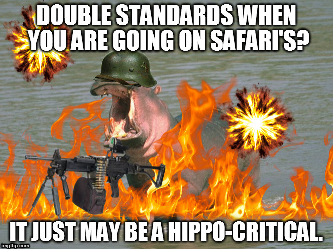 Also, be prepared to spot an irrelephant.  | DOUBLE STANDARDS WHEN YOU ARE GOING ON SAFARI'S? IT JUST MAY BE A HIPPO-CRITICAL. | image tagged in photoshop,hypocrisy,liberal saffari,hunting,hippo,memes | made w/ Imgflip meme maker