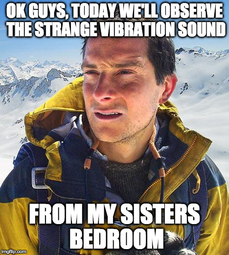 Bear Grylls Meme | OK GUYS, TODAY WE'LL OBSERVE THE STRANGE VIBRATION SOUND; FROM MY SISTERS BEDROOM | image tagged in memes,bear grylls | made w/ Imgflip meme maker