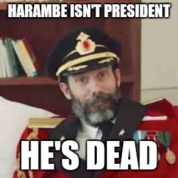 Captain Obvious | HARAMBE ISN'T PRESIDENT; HE'S DEAD | image tagged in captain obvious,memes,harambe | made w/ Imgflip meme maker