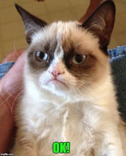 Grumpy Cat Meme | OK! | image tagged in memes,grumpy cat | made w/ Imgflip meme maker