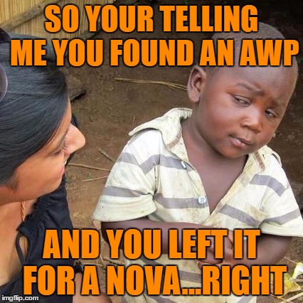 CS GO Meme | SO YOUR TELLING ME YOU FOUND AN AWP; AND YOU LEFT IT FOR A NOVA...RIGHT | image tagged in memes | made w/ Imgflip meme maker