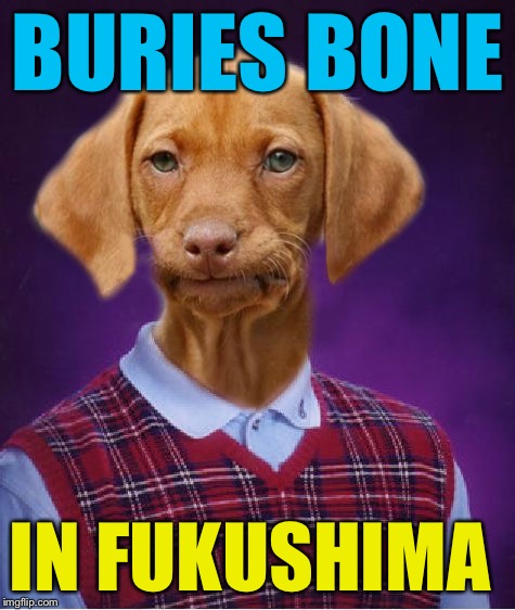 BURIES BONE IN FUKUSHIMA | made w/ Imgflip meme maker