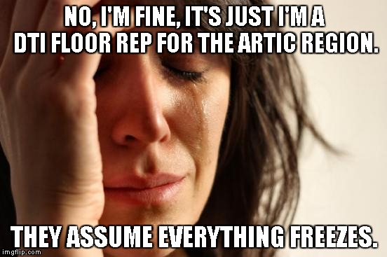 First World Problems | NO, I'M FINE, IT'S JUST I'M A DTI FLOOR REP FOR THE ARTIC REGION. THEY ASSUME EVERYTHING FREEZES. | image tagged in memes,first world problems | made w/ Imgflip meme maker