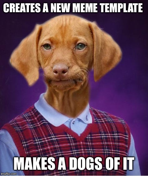Bad Luck Raydog | CREATES A NEW MEME TEMPLATE; MAKES A DOGS OF IT | image tagged in bad luck raydog | made w/ Imgflip meme maker