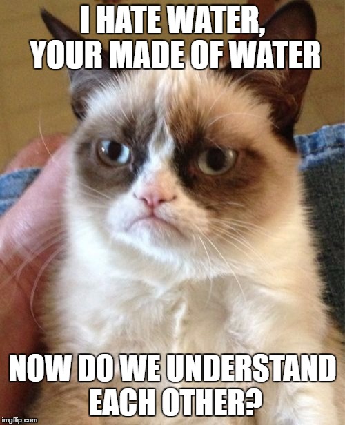 Grumpy Cat Meme | I HATE WATER, YOUR MADE OF WATER; NOW DO WE UNDERSTAND EACH OTHER? | image tagged in memes,grumpy cat | made w/ Imgflip meme maker
