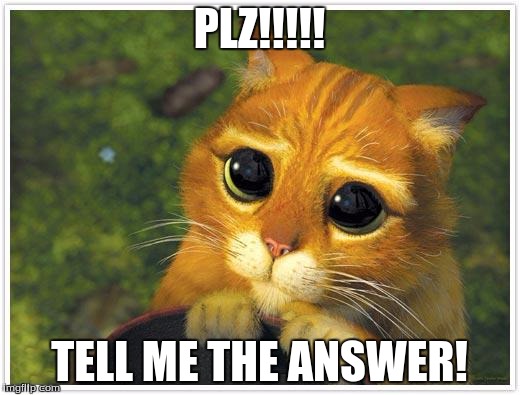 Shrek Cat Meme | PLZ!!!!! TELL ME THE ANSWER! | image tagged in memes,shrek cat | made w/ Imgflip meme maker
