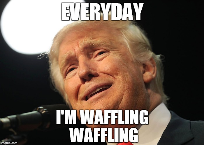 Feeling conned yet? | EVERYDAY; I'M WAFFLING WAFFLING | image tagged in waffle,dump the trump,meme,funny meme,everyday i'm shufflin shufflin | made w/ Imgflip meme maker