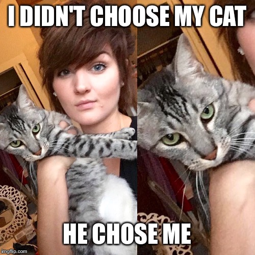 I DIDN'T CHOOSE MY CAT; HE CHOSE ME | image tagged in funny memes,memes,cats,forever alone,funny cat memes,dank memes | made w/ Imgflip meme maker