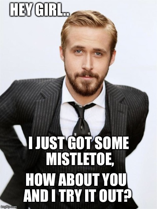 Hey Girl | HEY GIRL.. I JUST GOT SOME MISTLETOE, HOW ABOUT YOU AND I TRY IT OUT? | image tagged in hey girl | made w/ Imgflip meme maker