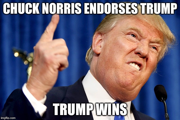 Donald Trump | CHUCK NORRIS ENDORSES TRUMP; TRUMP WINS | image tagged in donald trump | made w/ Imgflip meme maker