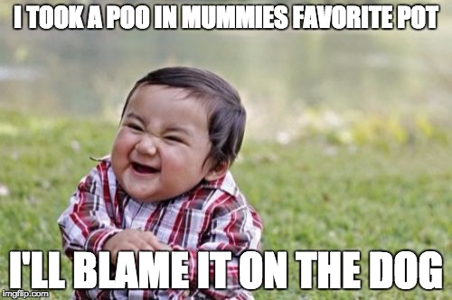 Evil Toddler | I TOOK A POO IN MUMMIES FAVORITE POT; I'LL BLAME IT ON THE DOG | image tagged in memes,evil toddler | made w/ Imgflip meme maker