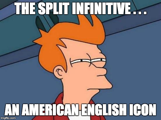 Futurama Fry Meme | THE SPLIT INFINITIVE . . . AN AMERICAN ENGLISH ICON | image tagged in memes,futurama fry | made w/ Imgflip meme maker