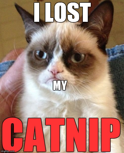 Grumpy Cat Meme | I LOST MY CATNIP | image tagged in memes,grumpy cat | made w/ Imgflip meme maker