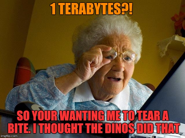 Grandma Finds The Internet | 1 TERABYTES?! SO YOUR WANTING ME TO TEAR A BITE. I THOUGHT THE DINOS DID THAT | image tagged in memes,grandma finds the internet | made w/ Imgflip meme maker
