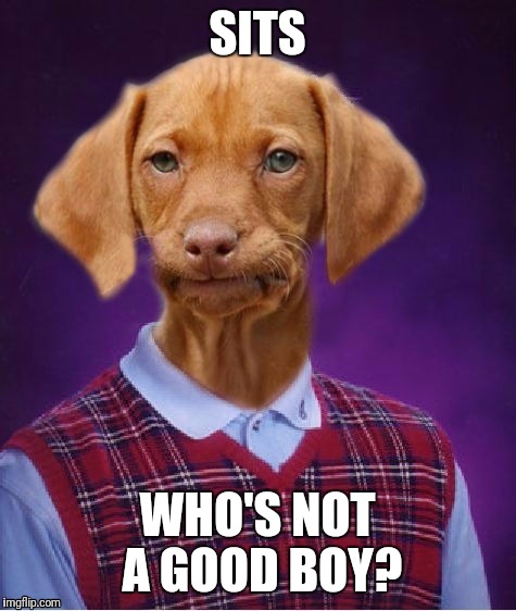 SITS WHO'S NOT A GOOD BOY? | made w/ Imgflip meme maker