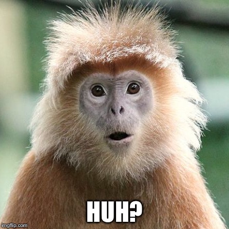 Huh? | HUH? | image tagged in confused monkey | made w/ Imgflip meme maker