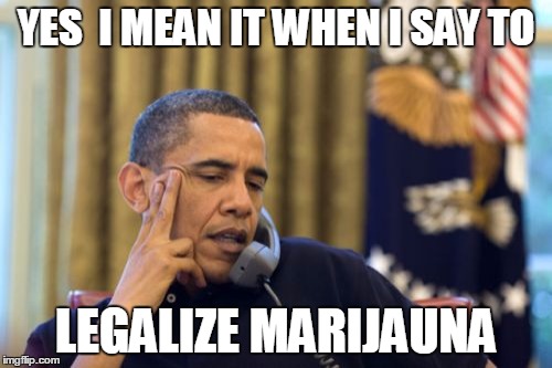 No I Can't Obama | YES  I MEAN IT WHEN I SAY TO; LEGALIZE MARIJAUNA | image tagged in memes,no i cant obama | made w/ Imgflip meme maker