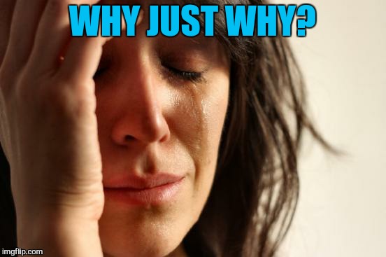 First World Problems Meme | WHY JUST WHY? | image tagged in memes,first world problems | made w/ Imgflip meme maker