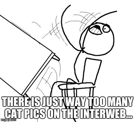 Table Flip Guy Meme | THERE IS JUST WAY TOO MANY CAT PICS ON THE INTERWEB... | image tagged in memes,table flip guy | made w/ Imgflip meme maker