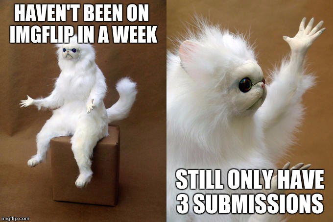 Persian Cat Room Guardian | HAVEN'T BEEN ON IMGFLIP IN A WEEK; STILL ONLY HAVE 3 SUBMISSIONS | image tagged in memes,persian cat room guardian | made w/ Imgflip meme maker