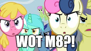 angry group of ponies | WOT M8?! | image tagged in angry group of ponies | made w/ Imgflip meme maker