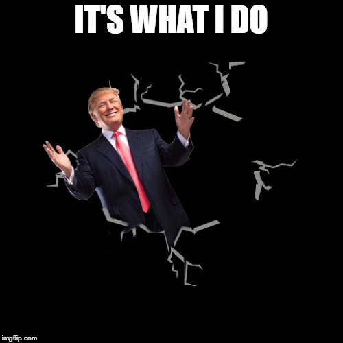 IT'S WHAT I DO | made w/ Imgflip meme maker