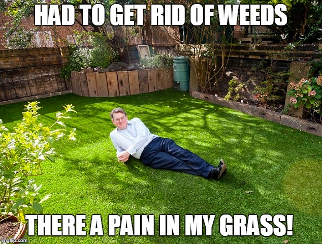 had to get rid of weeds | HAD TO GET RID OF WEEDS; THERE A PAIN IN MY GRASS! | image tagged in grass,funny,lawn | made w/ Imgflip meme maker