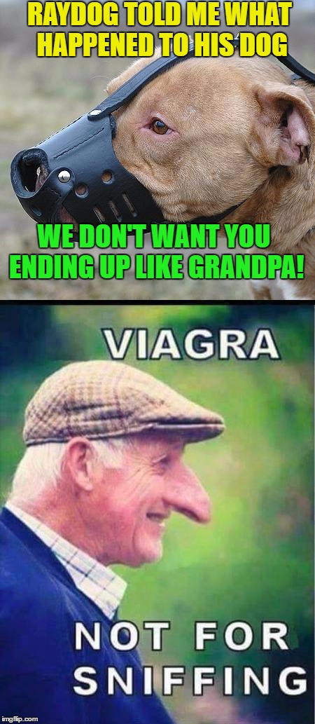Don't Inhale Viagra Kids | RAYDOG TOLD ME WHAT HAPPENED TO HIS DOG; WE DON'T WANT YOU ENDING UP LIKE GRANDPA! | image tagged in fun,memes,funny,viagra,pet health | made w/ Imgflip meme maker