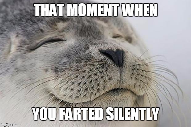 Satisfied Seal | THAT MOMENT WHEN; YOU FARTED SILENTLY | image tagged in memes,satisfied seal | made w/ Imgflip meme maker