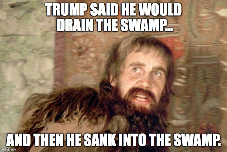 TRUMP SAID HE WOULD DRAIN THE SWAMP... AND THEN HE SANK INTO THE SWAMP. | image tagged in donald trump,drain the swamp,monty python,monty python and the holy grail,not my president | made w/ Imgflip meme maker