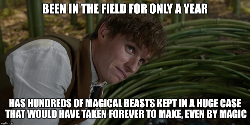 Newt had help...? | BEEN IN THE FIELD FOR ONLY A YEAR; HAS HUNDREDS OF MAGICAL BEASTS KEPT IN A HUGE CASE THAT WOULD HAVE TAKEN FOREVER TO MAKE, EVEN BY MAGIC | image tagged in harry potter,newt schemander,fantasic beasts and where to find them | made w/ Imgflip meme maker